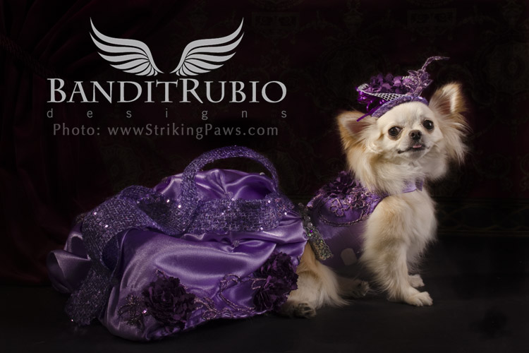Anthony Rubio's Purple Haze Dress