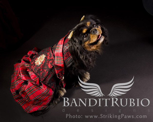 McQueen Dress designed and made by Anthony Rubio for Bandit Rubio Designs.