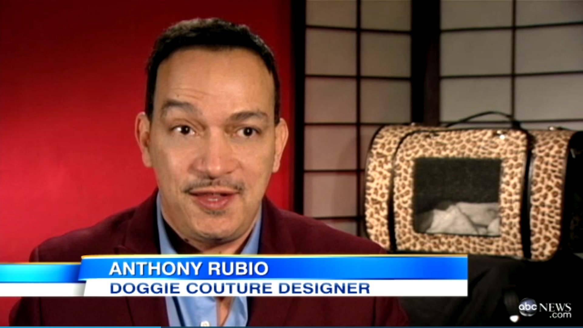 Anthony Rubio Good Morning America Interview on ABC Network Pet Fashion