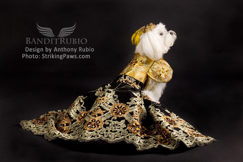 The Garnduer of Baroque by Anthony Rubio