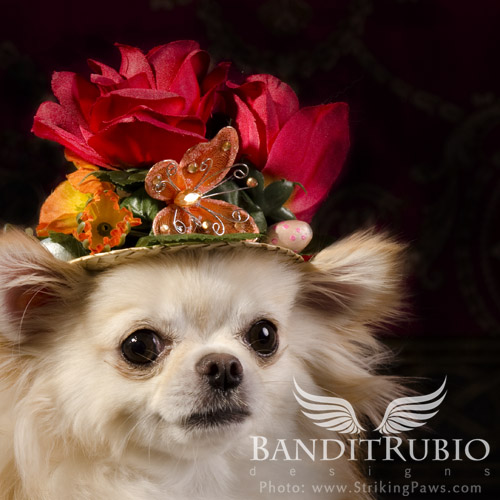 Anthony Rubio's Chapeau Floral