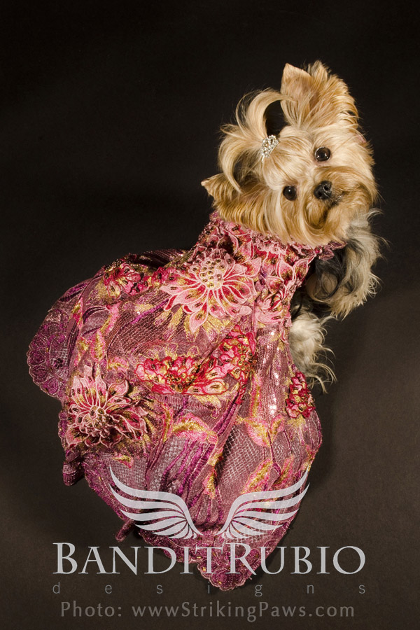 Anthony Rubio's Flora Dress