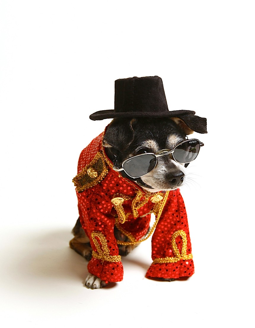 Anthony Rubio's The King Of Pop