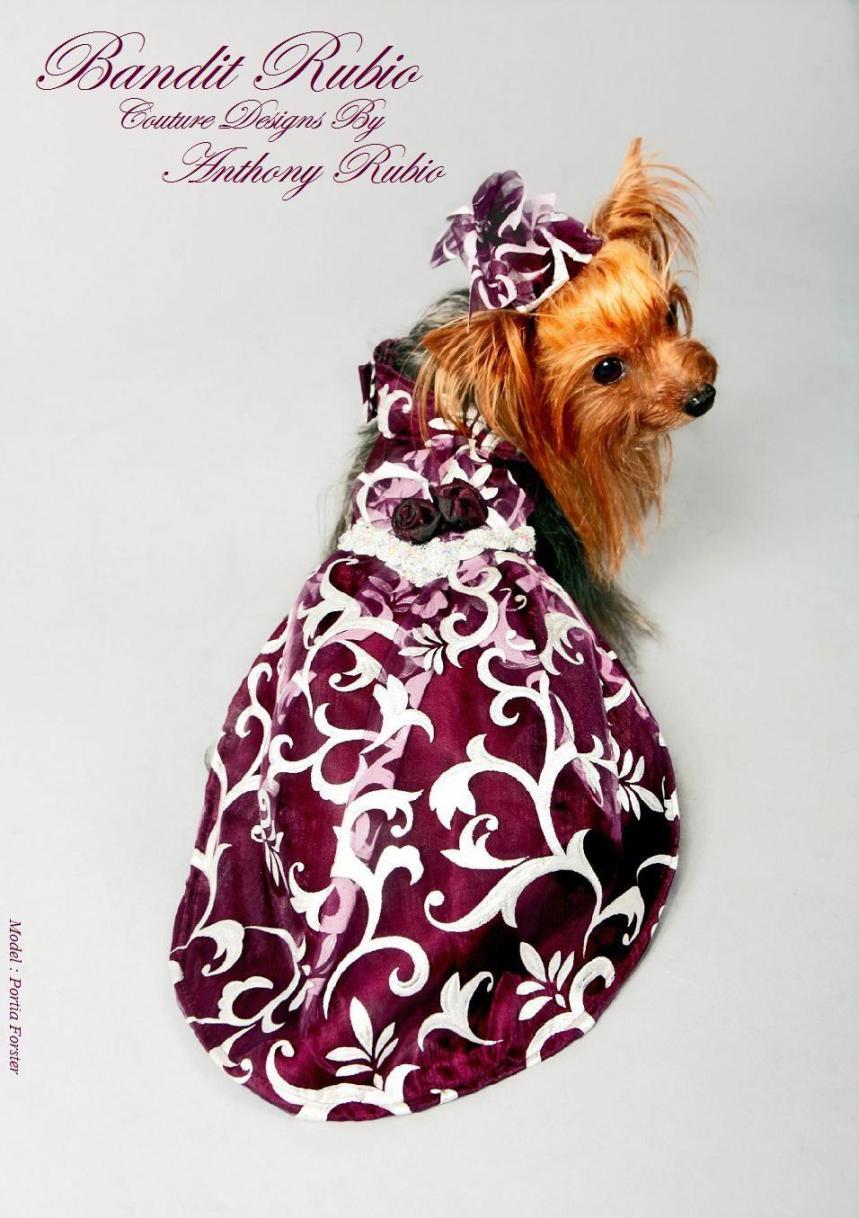 Anthony Rubio's Lady Purple Dress