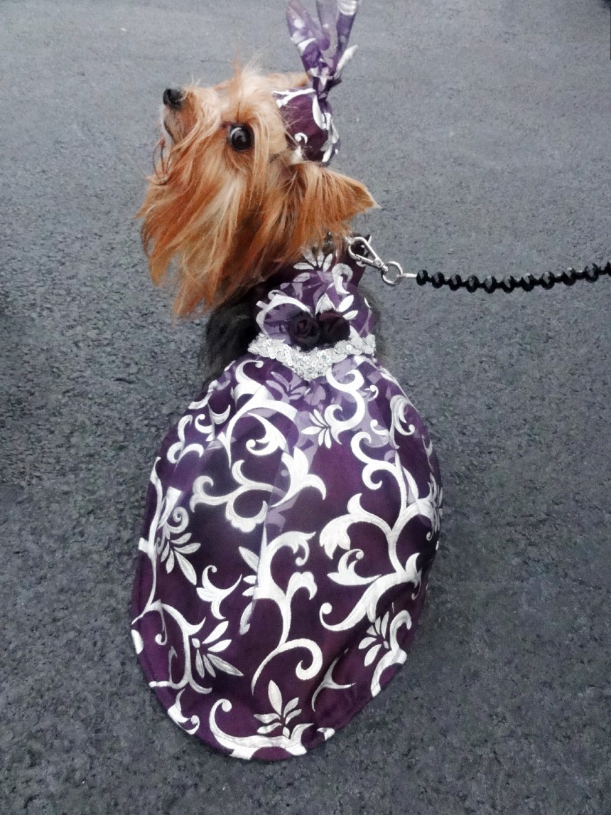 Anthony Rubio's Lady Purple Dress