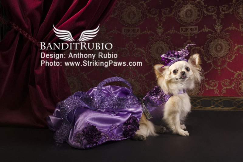 Anthony Rubio's Purple Haze Dress