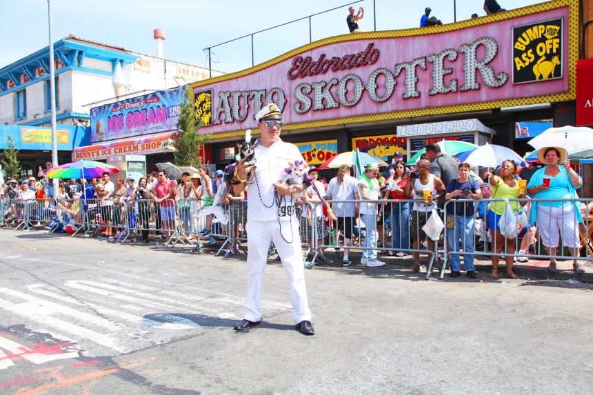 Anthony Rubio with Bogie & Kimba attend 2013 Coney Island Mermaid Parade