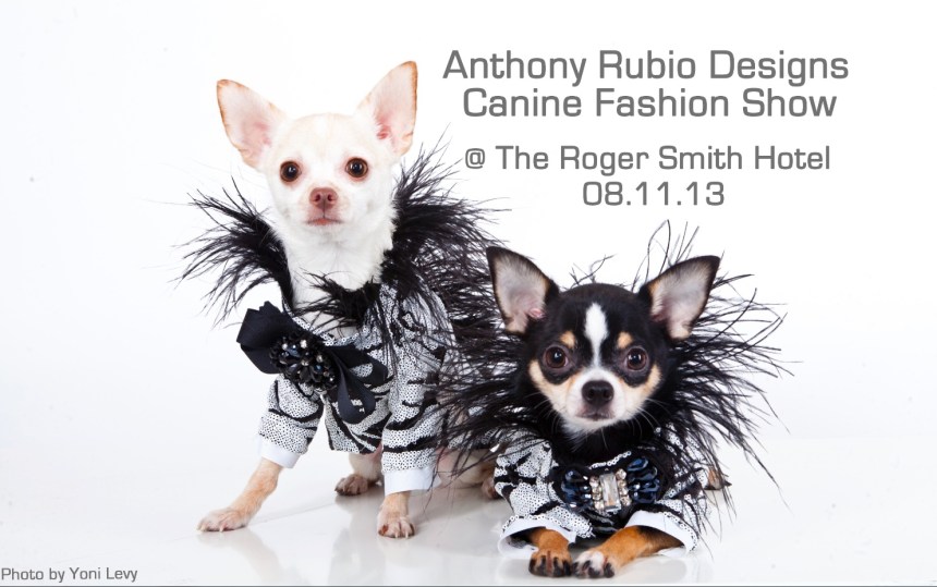 Anthony Rubio Canine Fashion show NEW