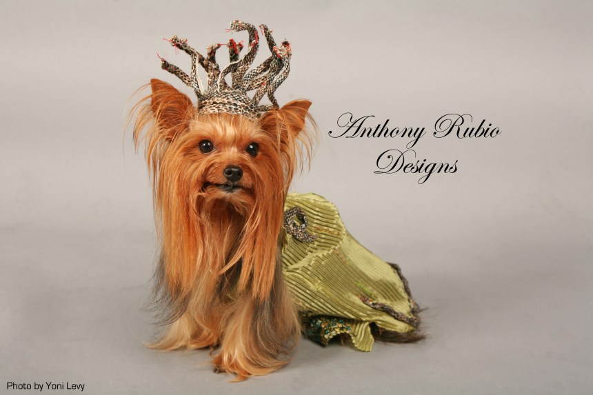 Anthony Rubio's Medusa   (Photo by Yoni Levy)