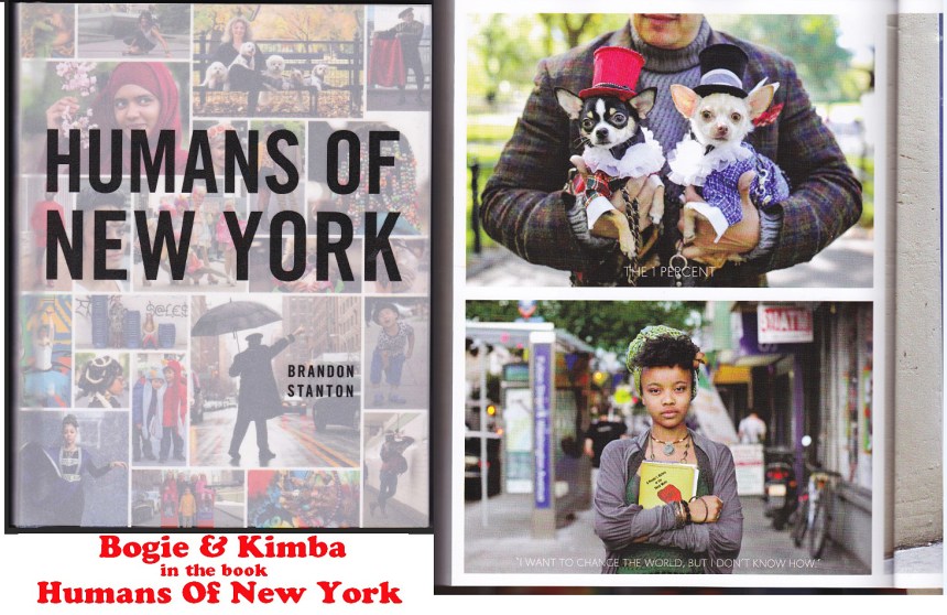 Anthony Rubio's dogs Bogie & Kimba in Humans of New York book