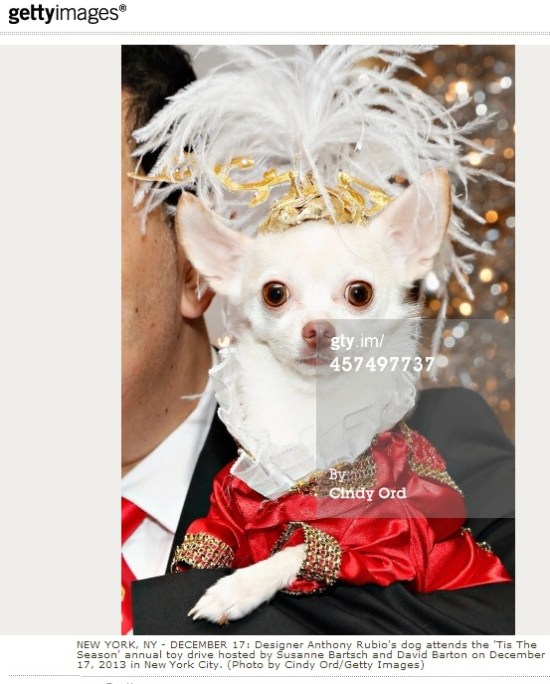 Anthony Rubio and Kimba attend The 11th Annual "Tis The Season" Toy Drive