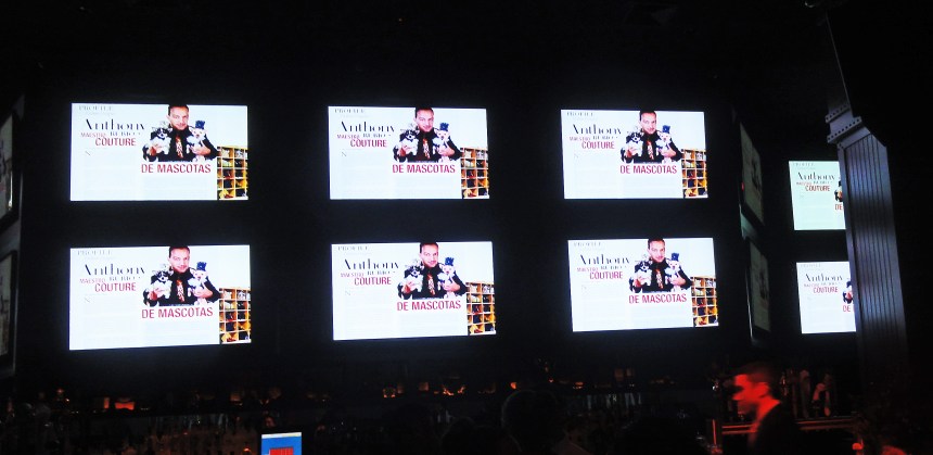 Second Anniversary of The Latino Show Magazine