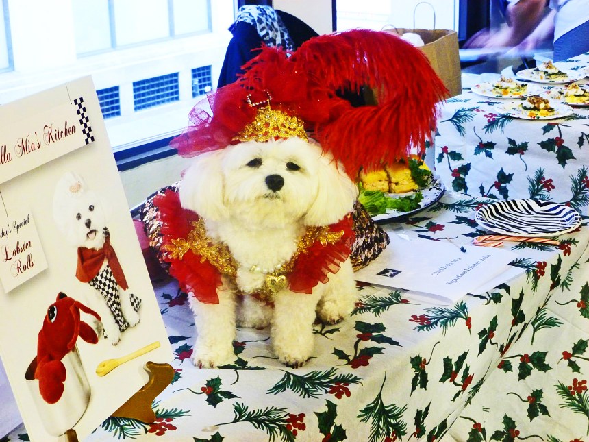 Model Bella Mia wearing an Anthony Rubio Design at the 2nd Annual Tinsel & Tails by Celebrity Catwalk