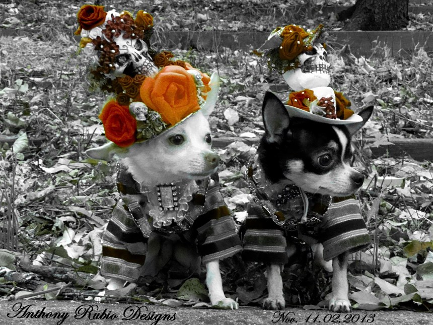 Bogie and Kimba are wearing Anthony Rubio Designs    (Photo by Robb)