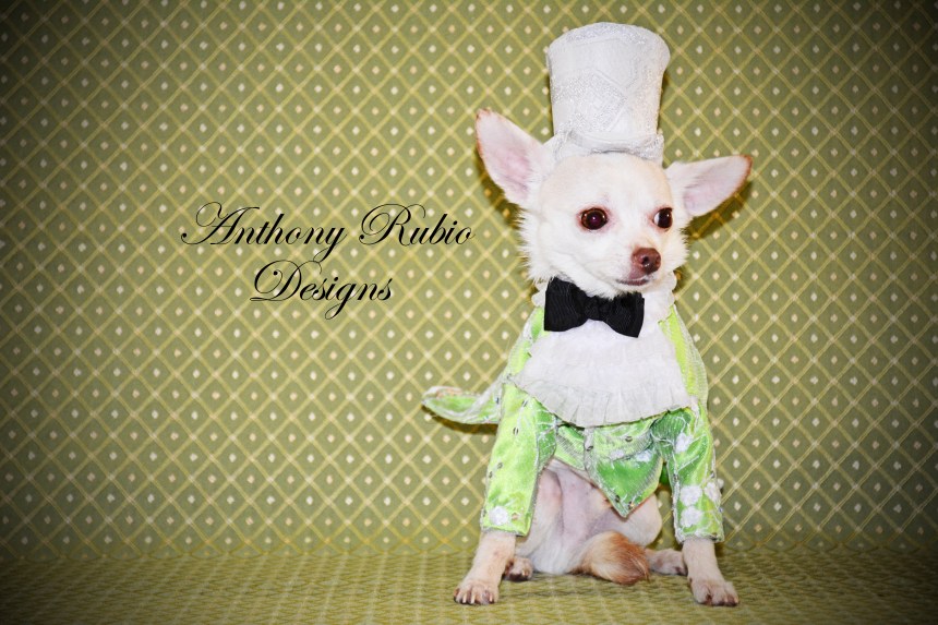 Kimba is wearing Anthony Rubio Designs