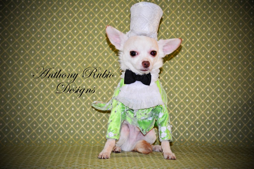 Kimba is wearing Anthony Rubio Designs