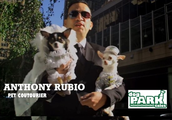 Anthony Rubio hosts Dog Park Tales TV Show