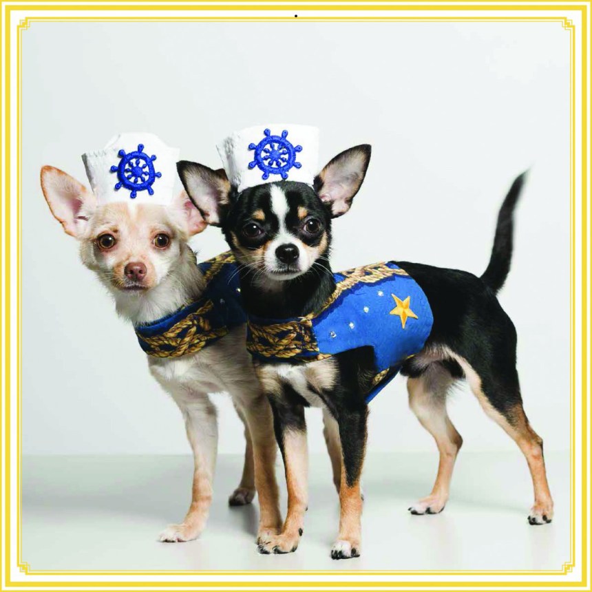 Bogie and Kimba sailors New Anthony Rubio Designs