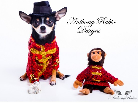 Chihuahua Bogie as Michael Jackson by Anthony Rubio Designs