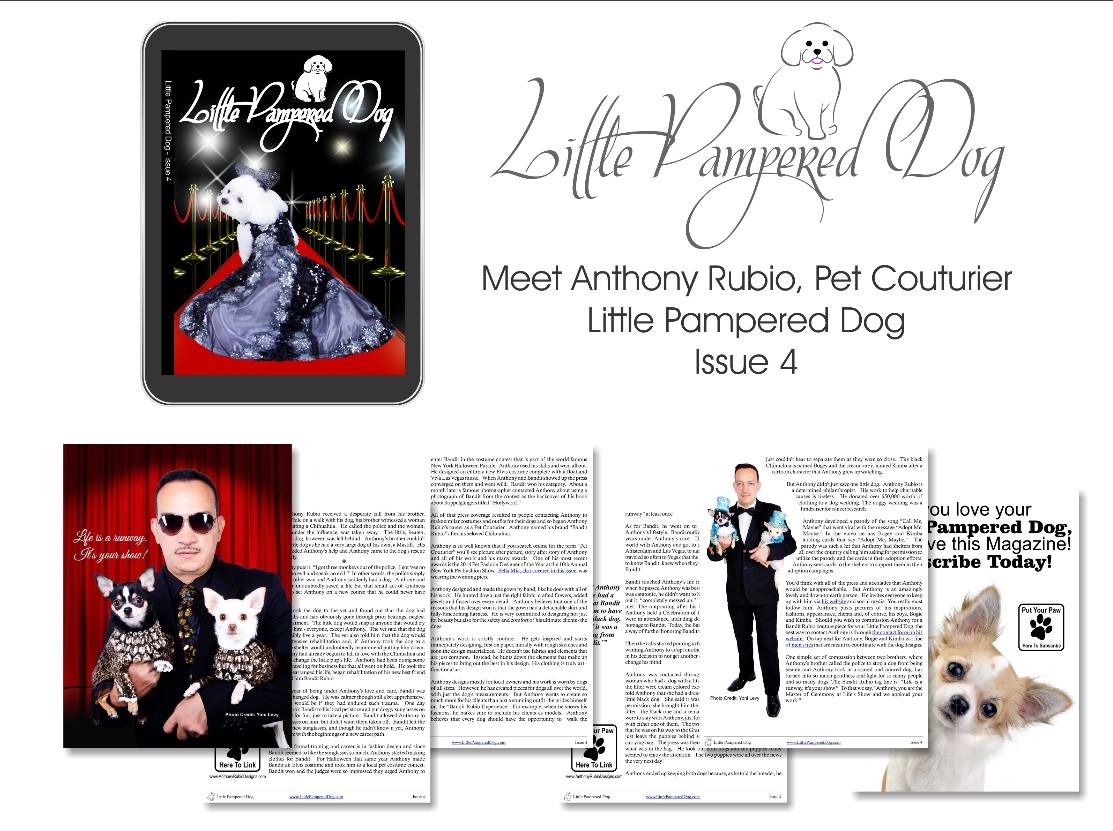 Anthony Rubio Cover Story in Little Pampered Dog Magazine