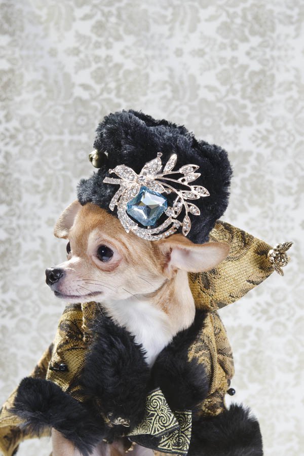 Anthony Rubio created couture canine fashion for Dog-Vogue photo series.