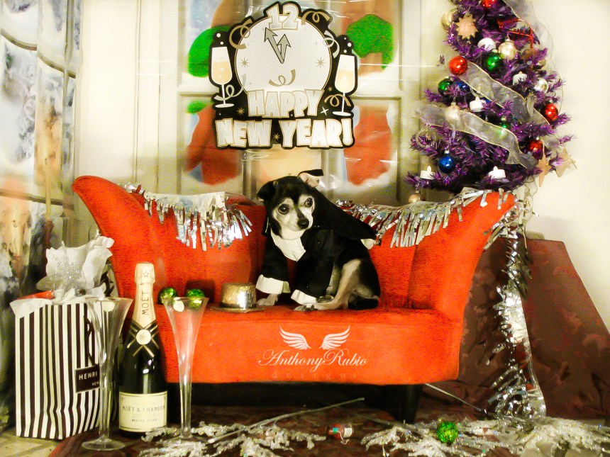 Happy New Year Eve from Anthony Rubio Designs