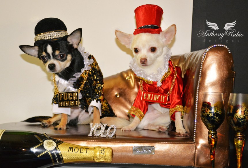 Happy New Year from Anthony Rubio Designs