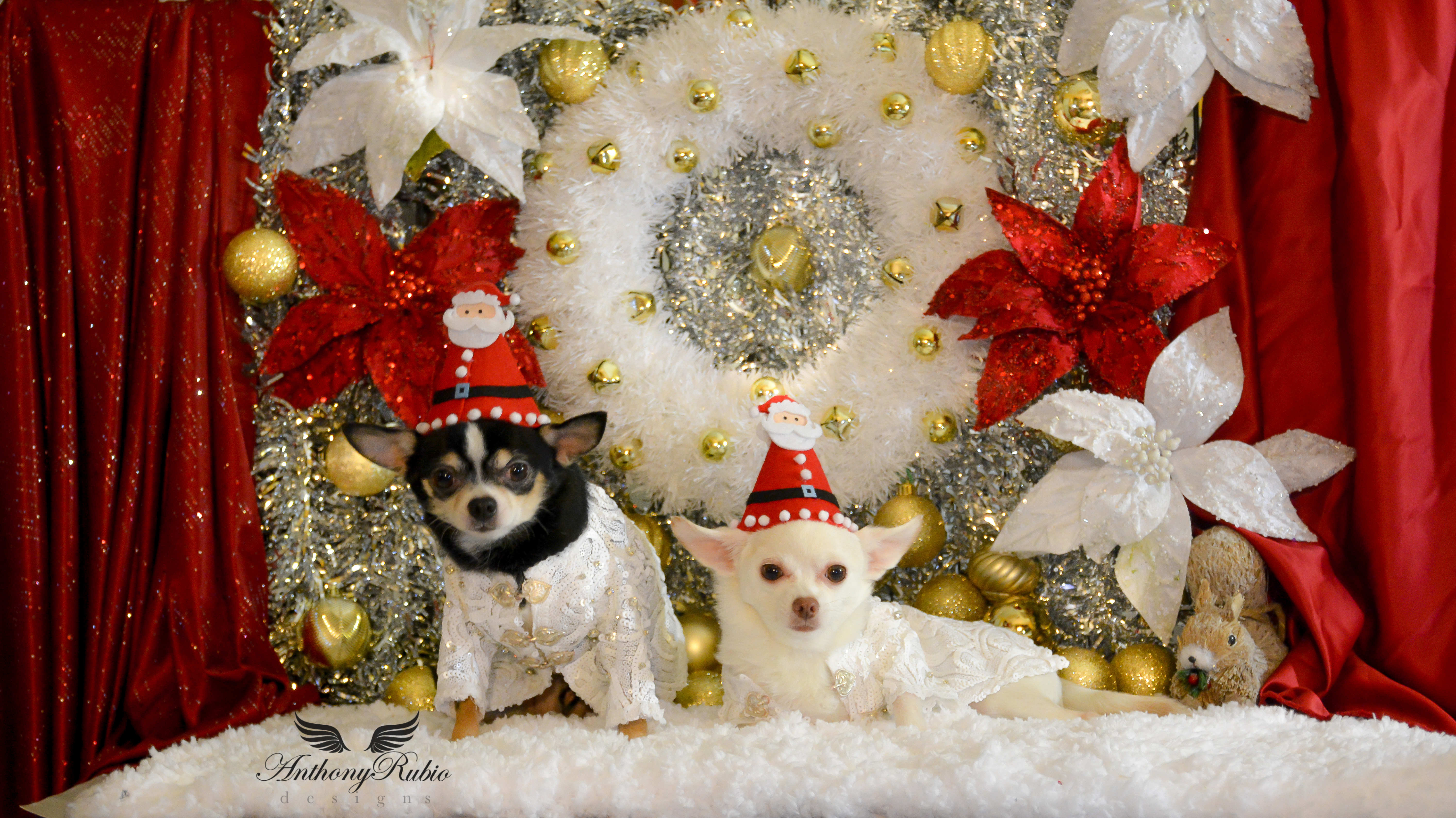 Happy Holidays from Anthony Rubio Designs