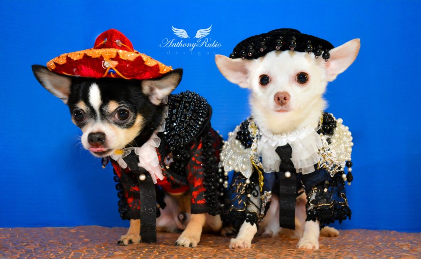 Happy Cinco De Mayo from Anthony Rubio Designs
