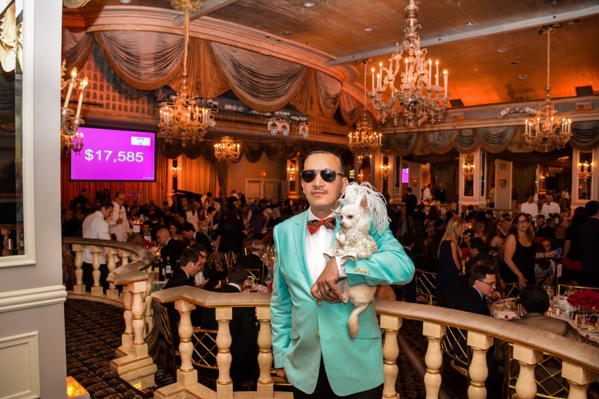 Anthony Rubio with Chihuahua Kimba attend the 2015 Bideawee Ball held at Pierre Hotel