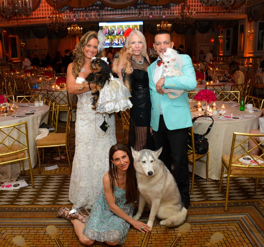 Anthony Rubio with Chihuahua Kimba attend the 2015 Bideawee Ball held at Pierre Hotel