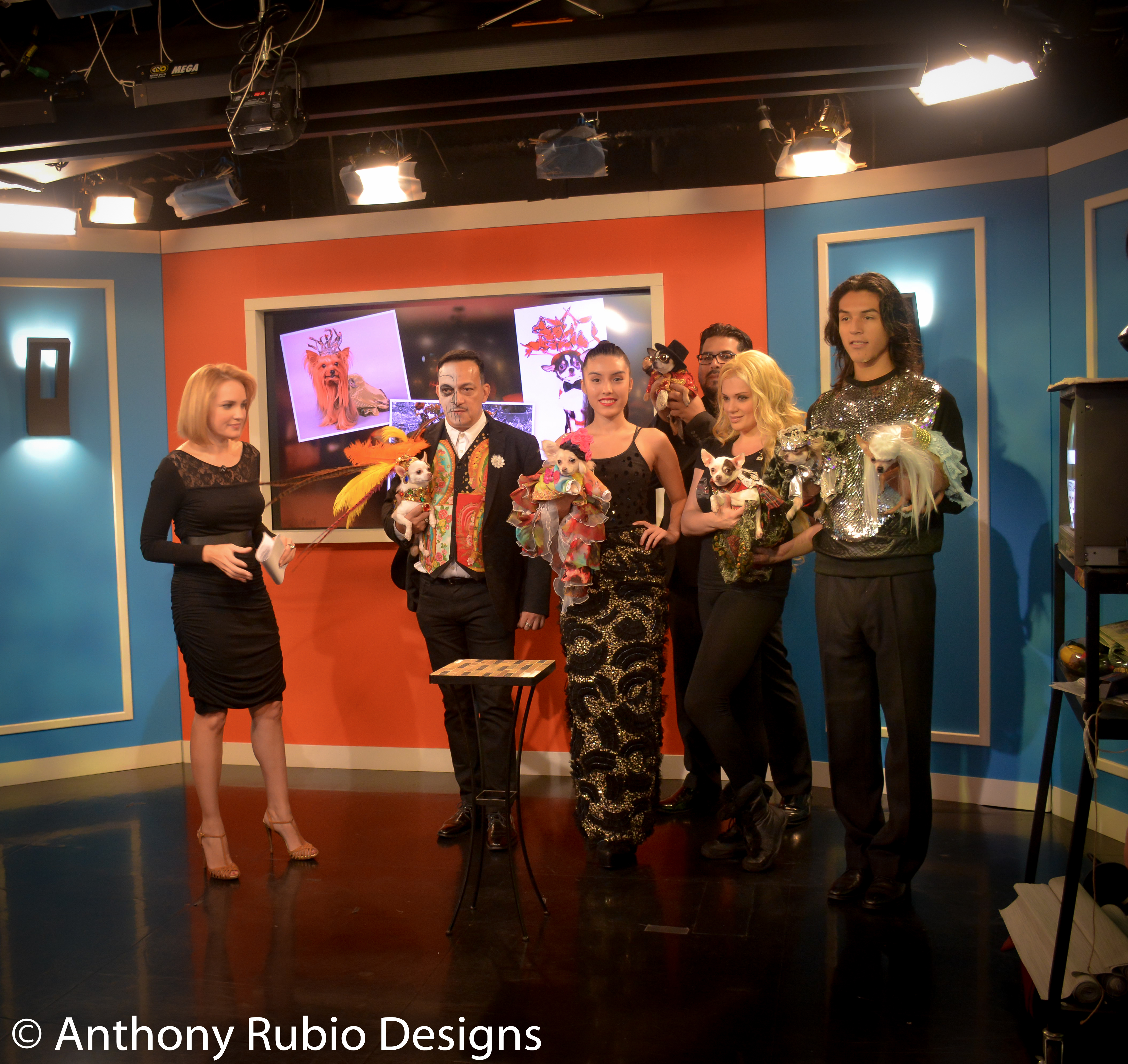 Anthony Rubio Interviewed on the Halloween Edition of Telemundo's Morning Show