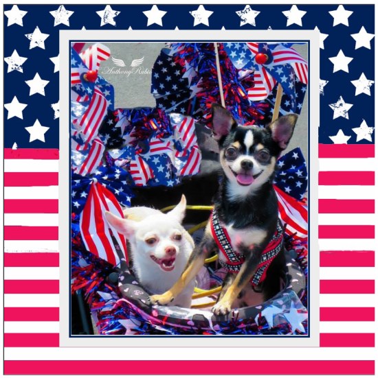 Happy Independence Day! from Anthony Rubio Designs