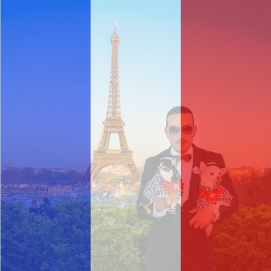 Pray For Paris! Anthony Rubio along with Chihuahua duo Bogie and Kimba to Paris, France.