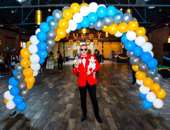 Anthony Rubio with Chihuahua duo Bogie And Kimba attend the Puppy Prom