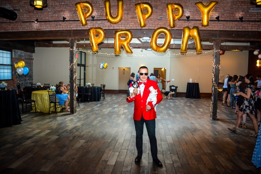 Anthony Rubio with Chihuahua duo Bogie And Kimba attend the Puppy Prom