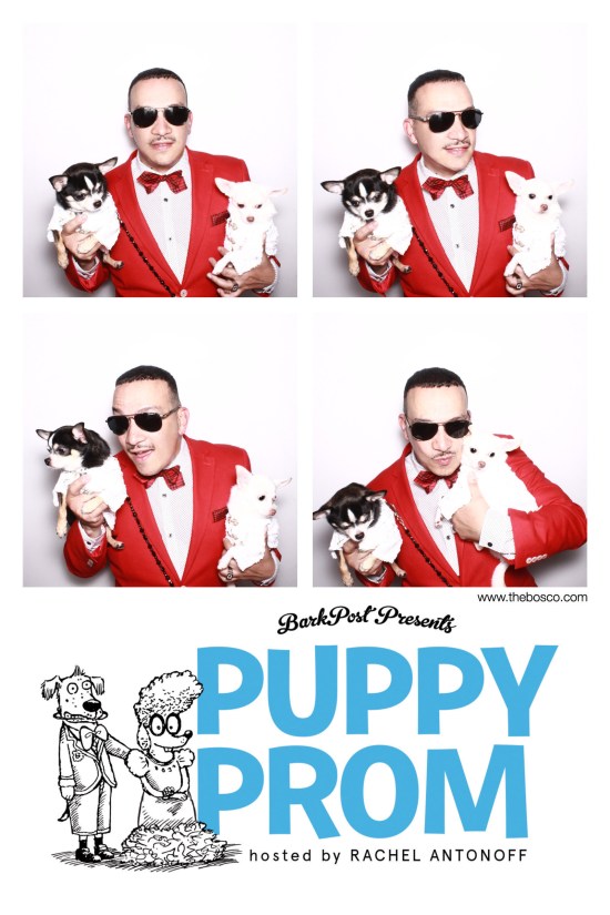 Anthony Rubio with Chihuahua duo Bogie And Kimba attend the Puppy Prom