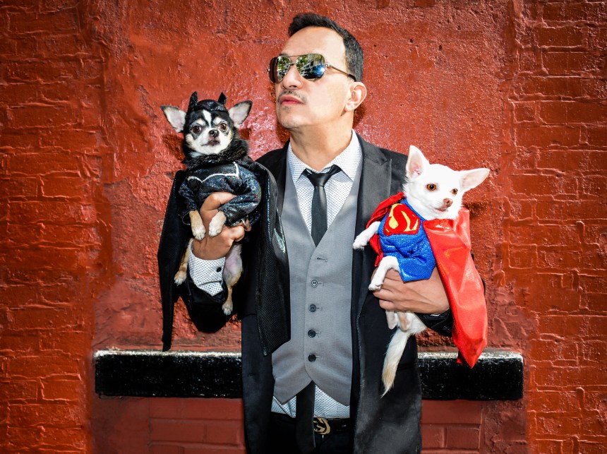 Anthony Rubio's Chihuahuas Bogie And Kimba as Batman vs Superman: Dawn of Justice take on Gotham