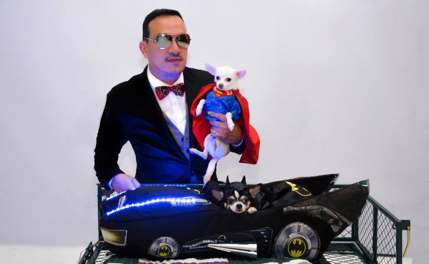 Chihuahua version of Batman v Superman: Dawn of Justice by Anthony Rubio