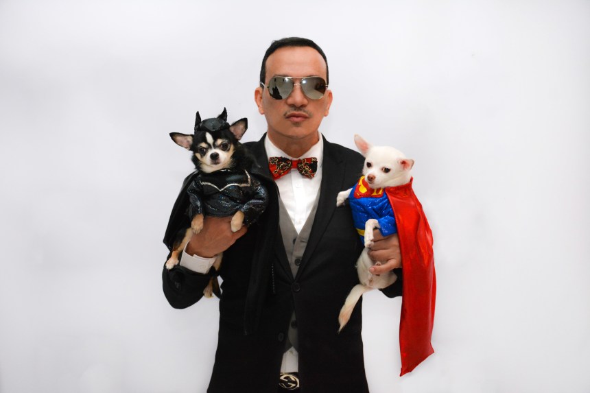 Chihuahua version of Batman v Superman: Dawn of Justice by Anthony Rubio