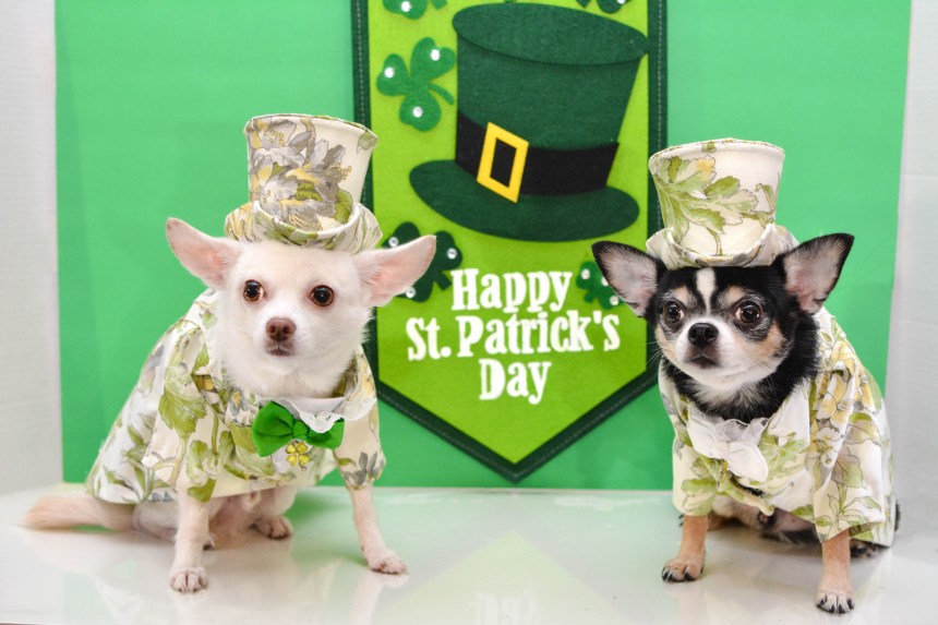 Happy St Patrick's Day! from Anthony Rubio