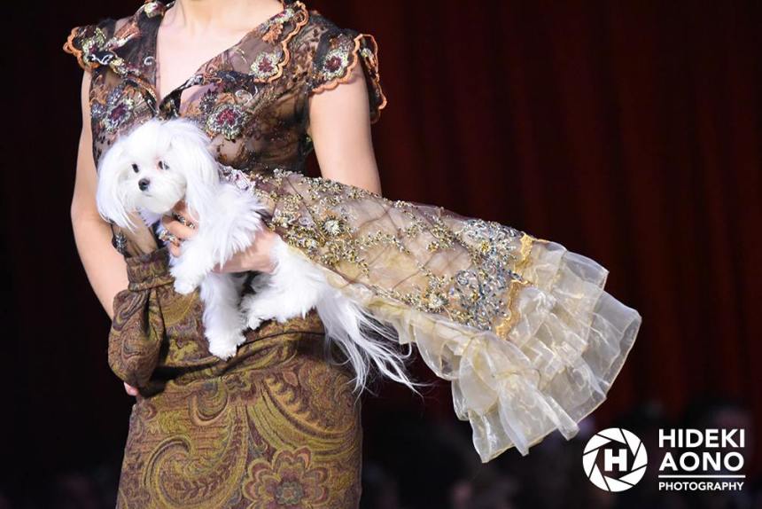 Anthony Rubio Fall/Winter 2016 - New York Fashion Week Women's Wear & Canine Couture Canine Model: Roxie Photo by: Hideki Aono