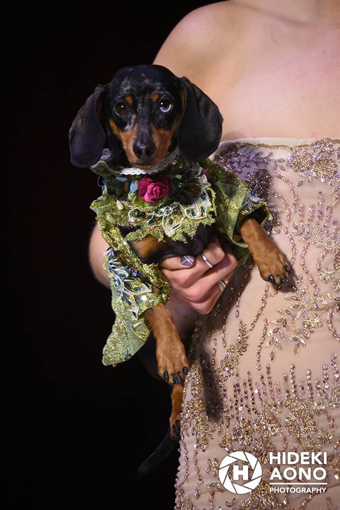 Anthony Rubio Fall/Winter 2016 - New York Fashion Week Women's Wear & Canine Couture Female Model: Ariana Canine Model: Dex Photo by: Hideki Aono