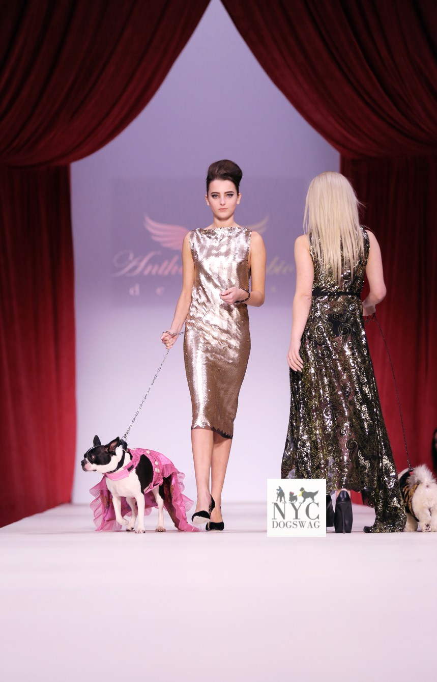 Anthony Rubio Fall/Winter 2016 - New York Fashion Week Women's Wear & Canine Couture Female Model: Josie Giordano Canine Model: Rita Photo by: Jason Howard