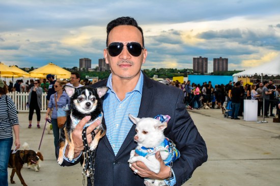 Anthony Rubio and Chihuahua duo Bogie and Kimba at the 2016 BarkFest