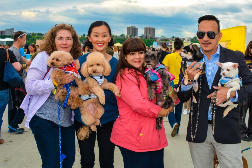 Anthony Rubio and Chihuahua duo Bogie and Kimba at the 2016 BarkFest