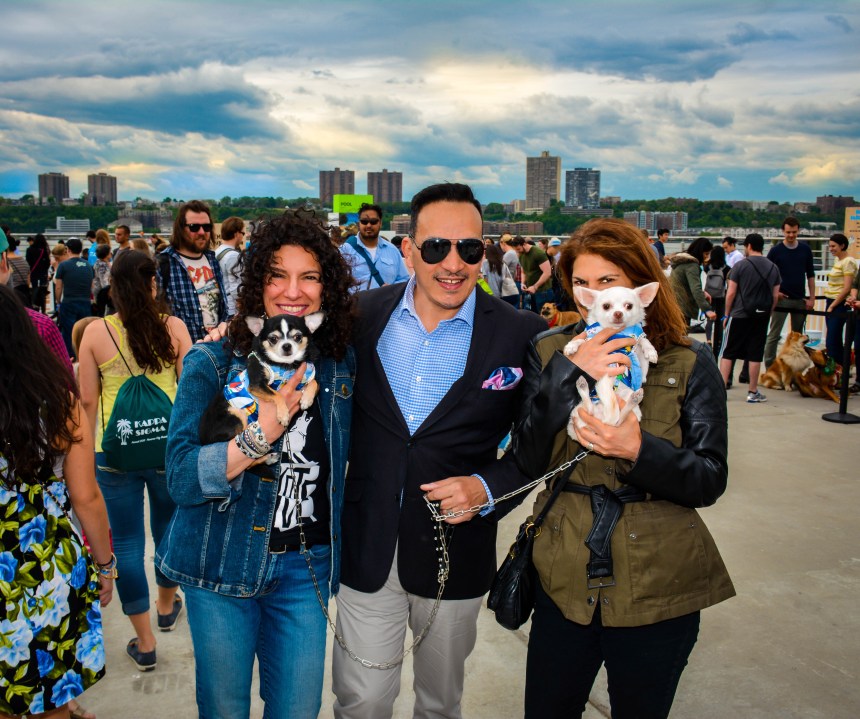 Anthony Rubio and Chihuahua duo Bogie and Kimba at the 2016 BarkFest