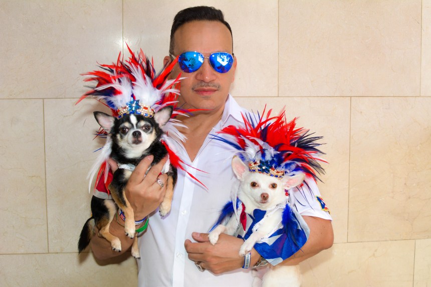 Anthony Rubio and his Chihuahua duo Bogie and Kimba marched in the 2016 National Puerto Rican Day Parade