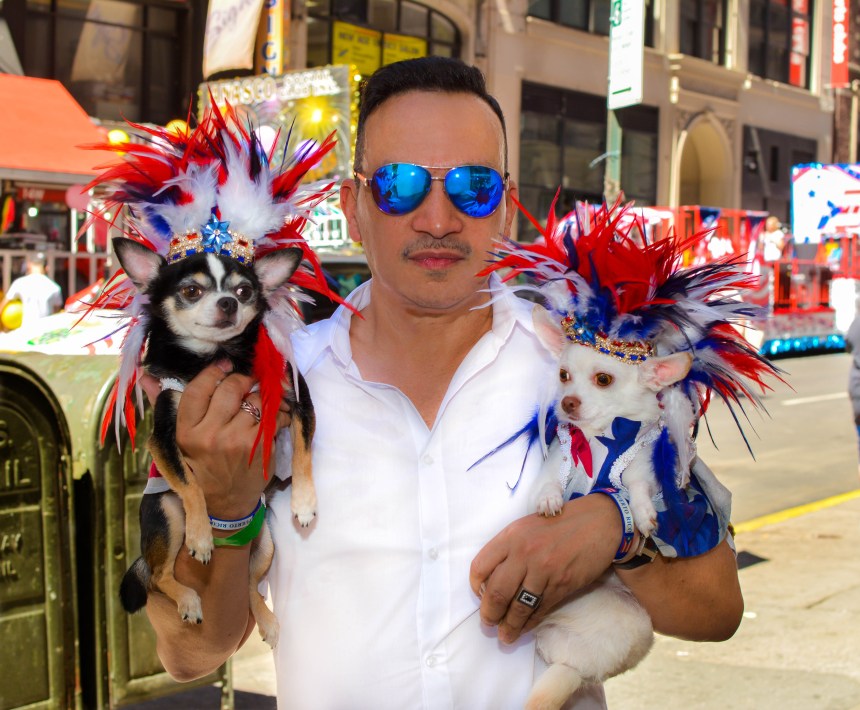 Anthony Rubio and his Chihuahua duo Bogie and Kimba marched in the 2016 National Puerto Rican Day Parade