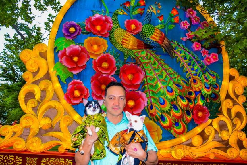 Anthony Rubio with Chihuahua duo Bogie and Kimba visit Philadelphia Chinese Lantern Festival
